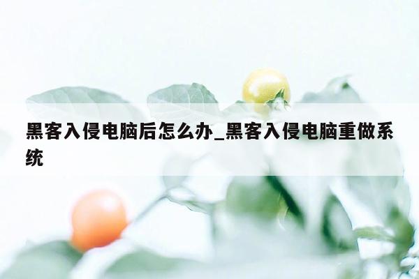 黑客入侵电脑后怎么办_黑客入侵电脑重做系统