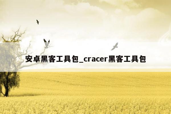 安卓黑客工具包_cracer黑客工具包