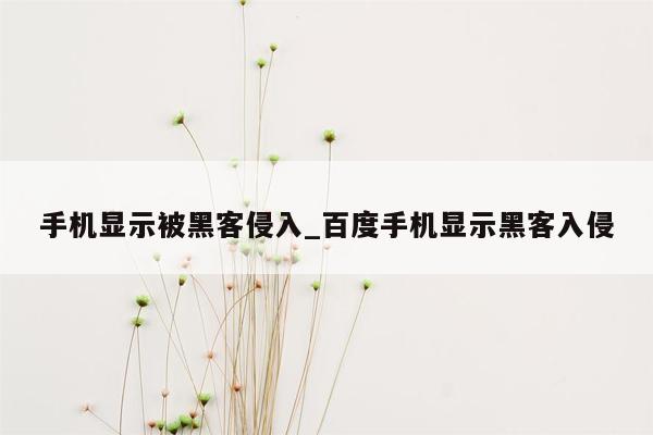 手机显示被黑客侵入_百度手机显示黑客入侵