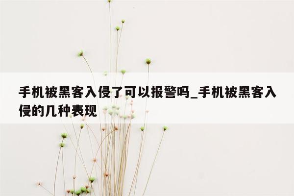 手机被黑客入侵了可以报警吗_手机被黑客入侵的几种表现