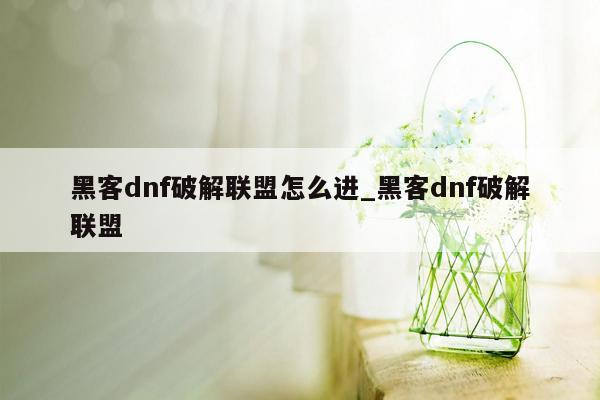 黑客dnf破解联盟怎么进_黑客dnf破解联盟