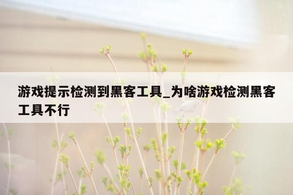 游戏提示检测到黑客工具_为啥游戏检测黑客工具不行