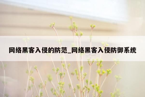 网络黑客入侵的防范_网络黑客入侵防御系统