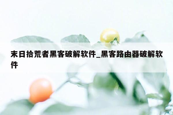 末日拾荒者黑客破解软件_黑客路由器破解软件