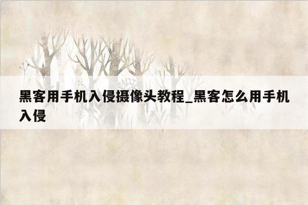 黑客用手机入侵摄像头教程_黑客怎么用手机入侵