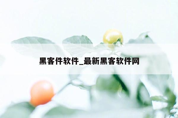 黑客件软件_最新黑客软件网