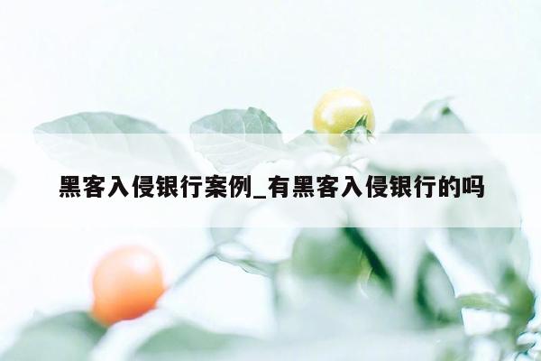 黑客入侵银行案例_有黑客入侵银行的吗