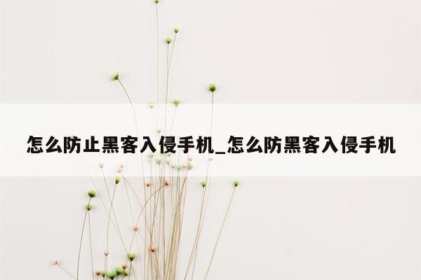 怎么防止黑客入侵手机_怎么防黑客入侵手机