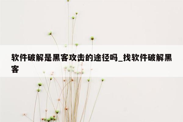 软件破解是黑客攻击的途径吗_找软件破解黑客