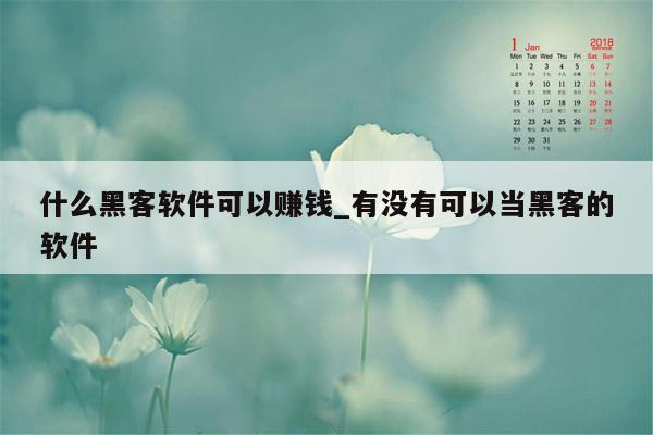 什么黑客软件可以赚钱_有没有可以当黑客的软件