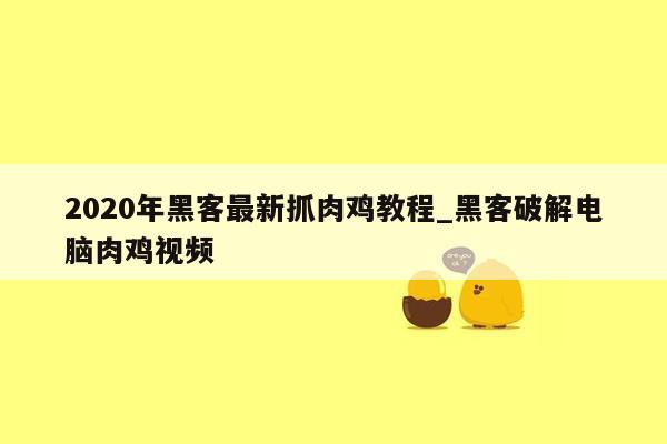 2020年黑客最新抓肉鸡教程_黑客破解电脑肉鸡视频