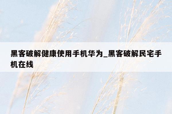 黑客破解健康使用手机华为_黑客破解民宅手机在线