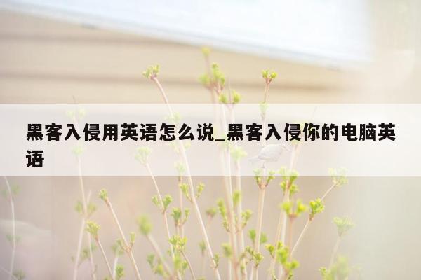 黑客入侵用英语怎么说_黑客入侵你的电脑英语