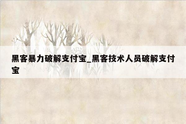 黑客暴力破解支付宝_黑客技术人员破解支付宝