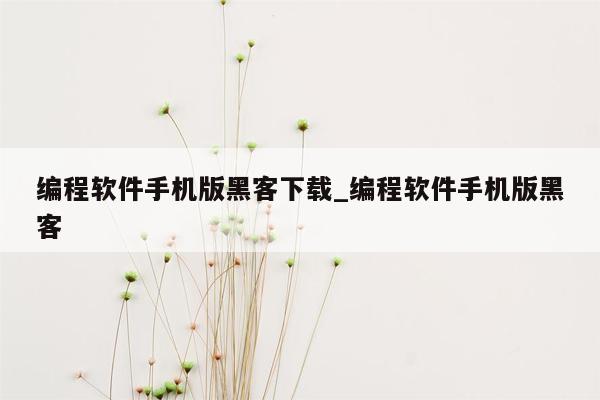 编程软件手机版黑客下载_编程软件手机版黑客