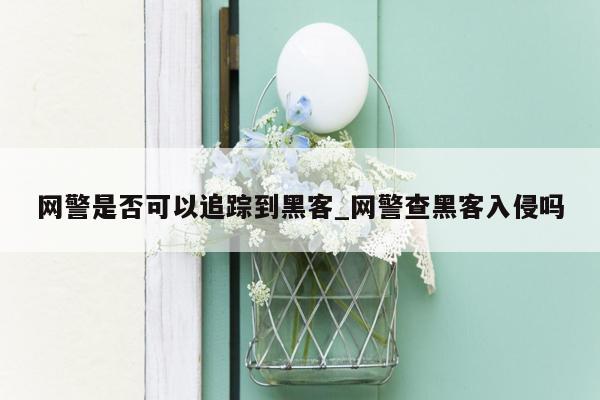 网警是否可以追踪到黑客_网警查黑客入侵吗