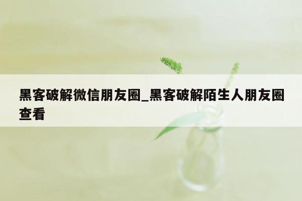 黑客破解微信朋友圈_黑客破解陌生人朋友圈查看