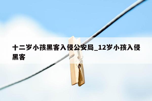 十二岁小孩黑客入侵公安局_12岁小孩入侵黑客