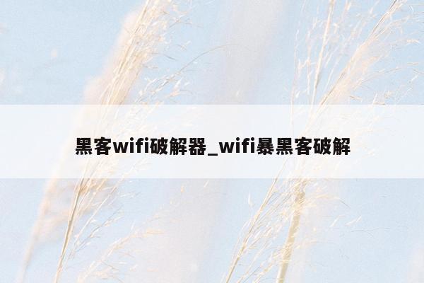 黑客wifi破解器_wifi暴黑客破解