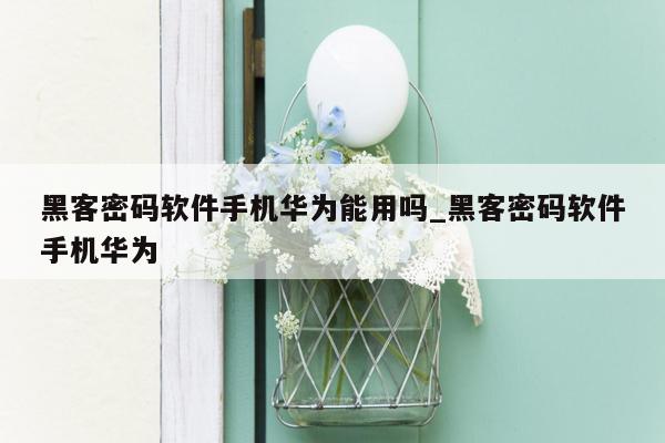 黑客密码软件手机华为能用吗_黑客密码软件手机华为