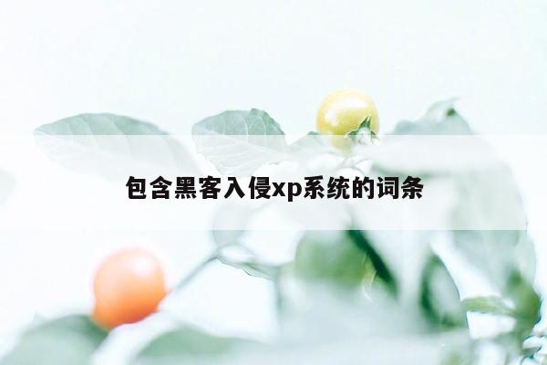 包含黑客入侵xp系统的词条