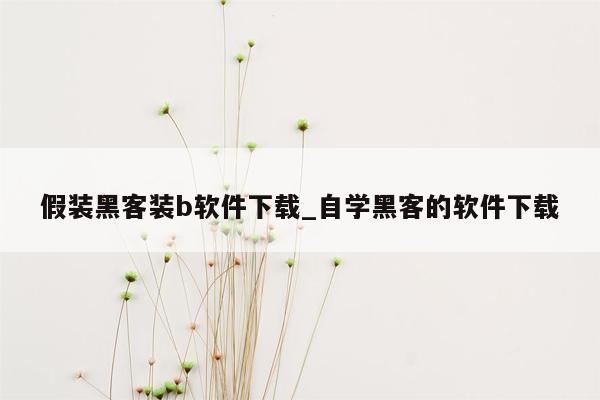 假装黑客装b软件下载_自学黑客的软件下载