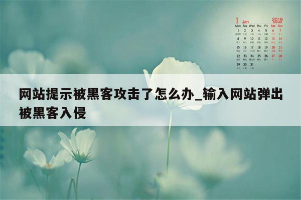 网站提示被黑客攻击了怎么办_输入网站弹出被黑客入侵