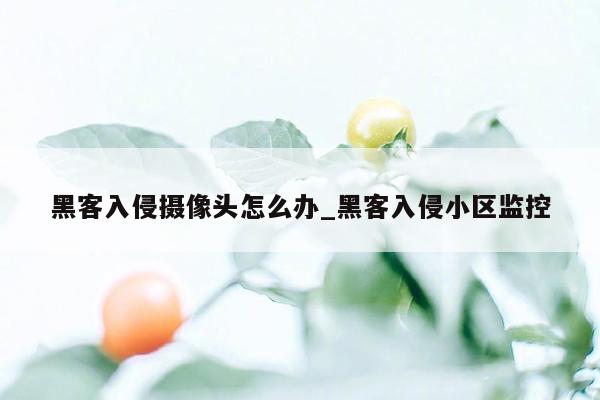 黑客入侵摄像头怎么办_黑客入侵小区监控