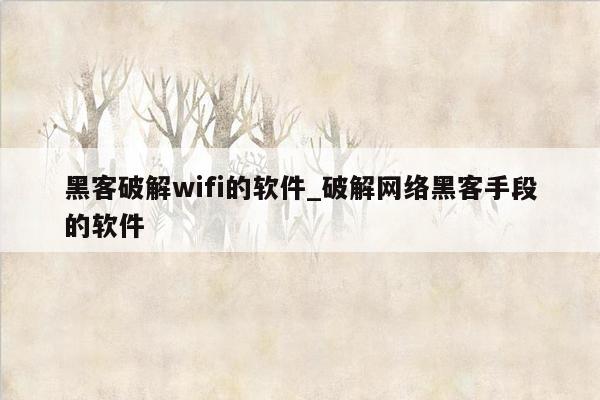 黑客破解wifi的软件_破解网络黑客手段的软件