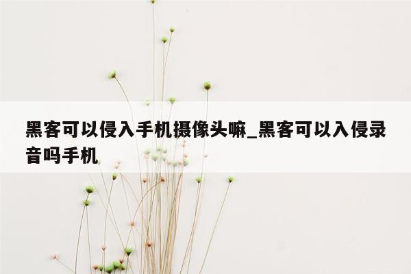 黑客可以侵入手机摄像头嘛_黑客可以入侵录音吗手机