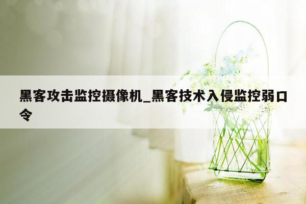 黑客攻击监控摄像机_黑客技术入侵监控弱口令