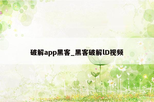 破解app黑客_黑客破解lD视频