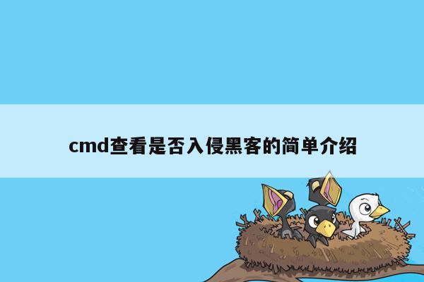 cmd查看是否入侵黑客的简单介绍