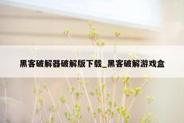 黑客破解器破解版下载_黑客破解游戏盒