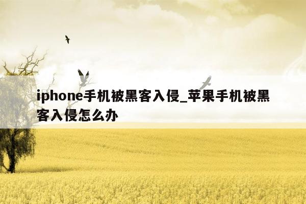 iphone手机被黑客入侵_苹果手机被黑客入侵怎么办