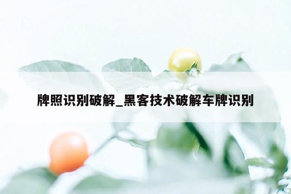 牌照识别破解_黑客技术破解车牌识别