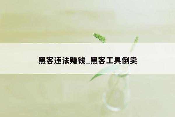 黑客违法赚钱_黑客工具倒卖