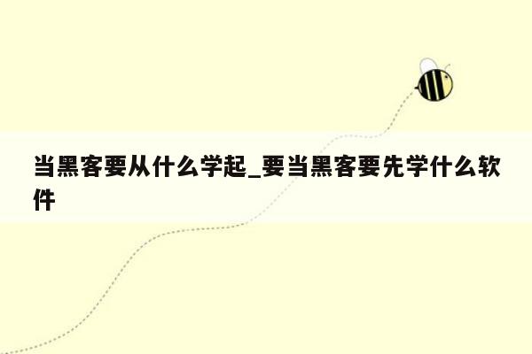 当黑客要从什么学起_要当黑客要先学什么软件