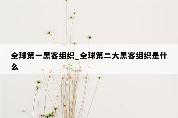 全球第一黑客组织_全球第二大黑客组织是什么