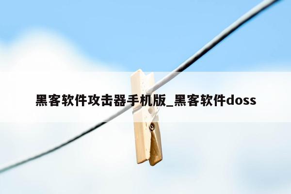 黑客软件攻击器手机版_黑客软件doss