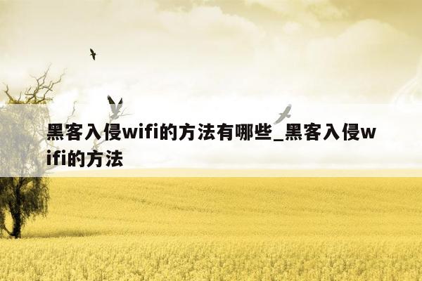 黑客入侵wifi的方法有哪些_黑客入侵wifi的方法