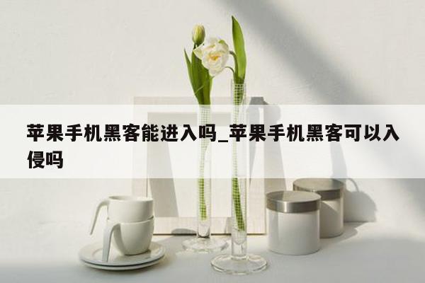 苹果手机黑客能进入吗_苹果手机黑客可以入侵吗