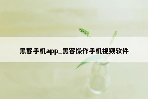 黑客手机app_黑客操作手机视频软件