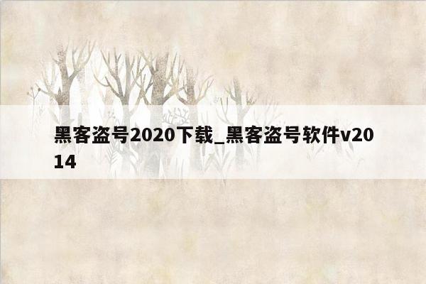 黑客盗号2020下载_黑客盗号软件v2014