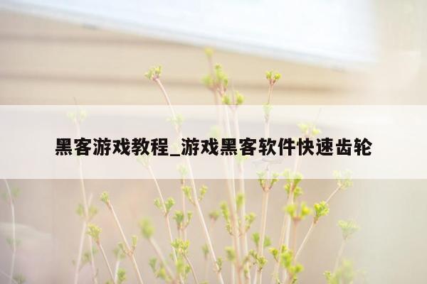 黑客游戏教程_游戏黑客软件快速齿轮