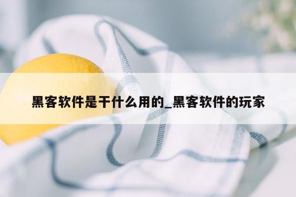 黑客软件是干什么用的_黑客软件的玩家