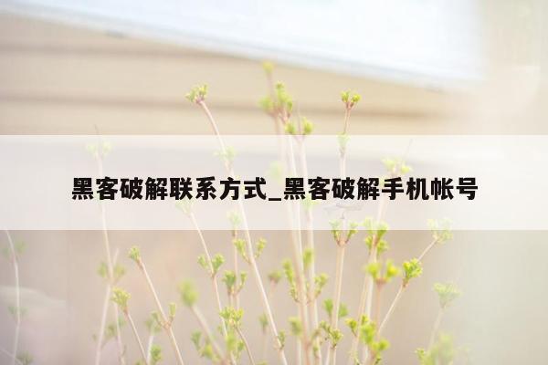 黑客破解联系方式_黑客破解手机帐号