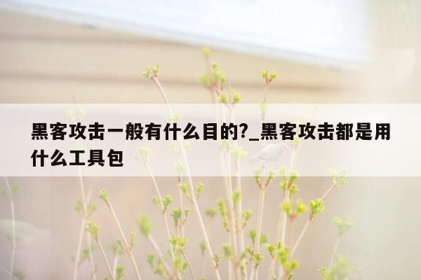 黑客攻击一般有什么目的?_黑客攻击都是用什么工具包