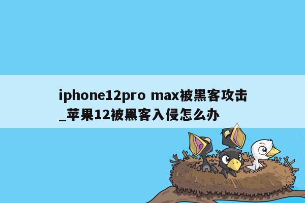 iphone12pro max被黑客攻击_苹果12被黑客入侵怎么办