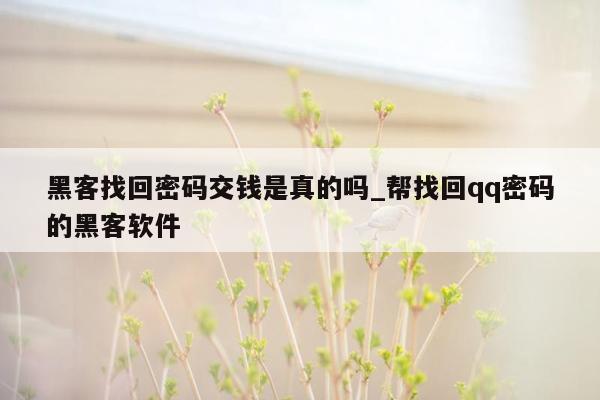 黑客找回密码交钱是真的吗_帮找回qq密码的黑客软件